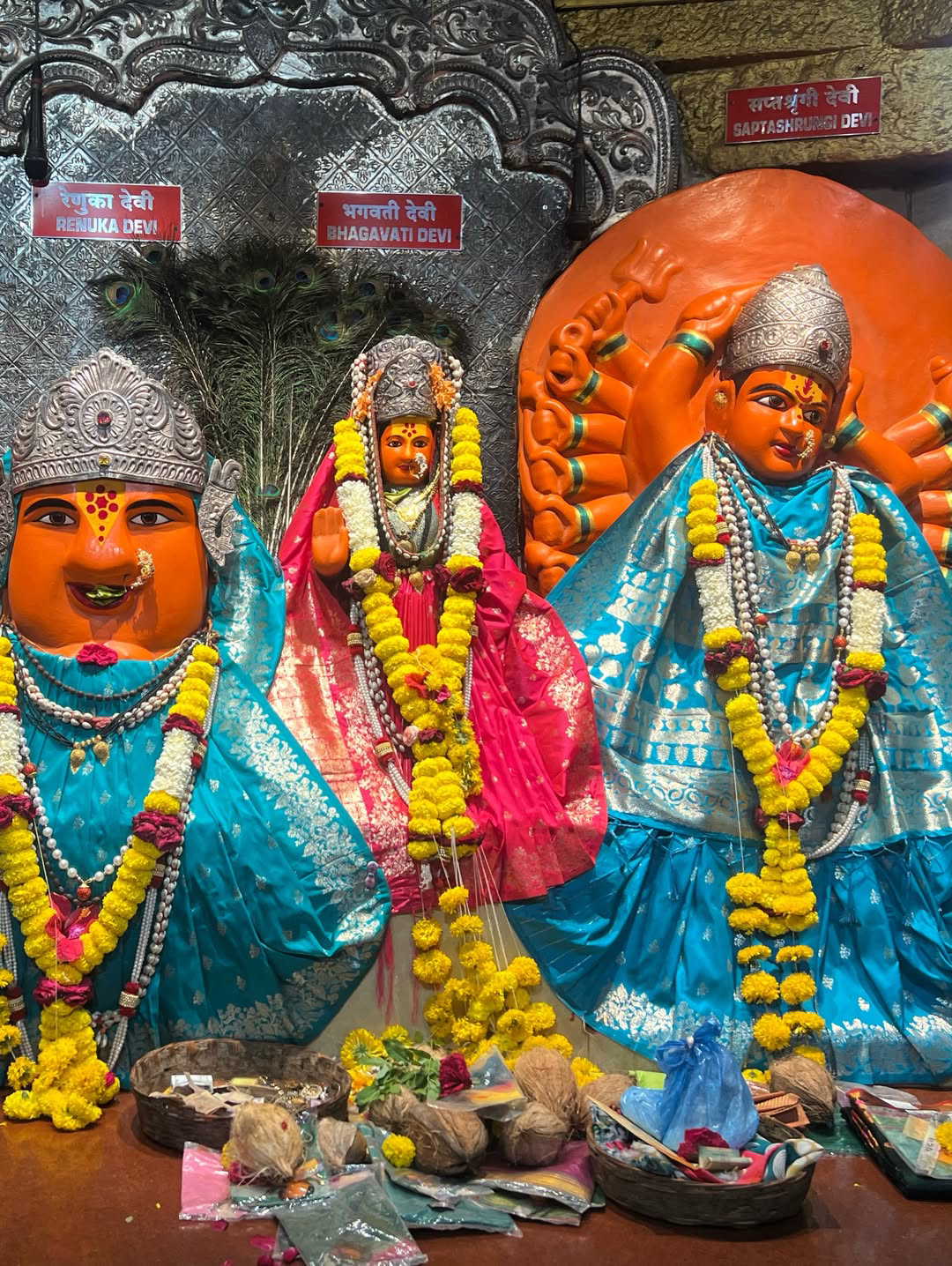 Serial actress Vasanthi Krishnan visits Saptashrungi Ammavari temple