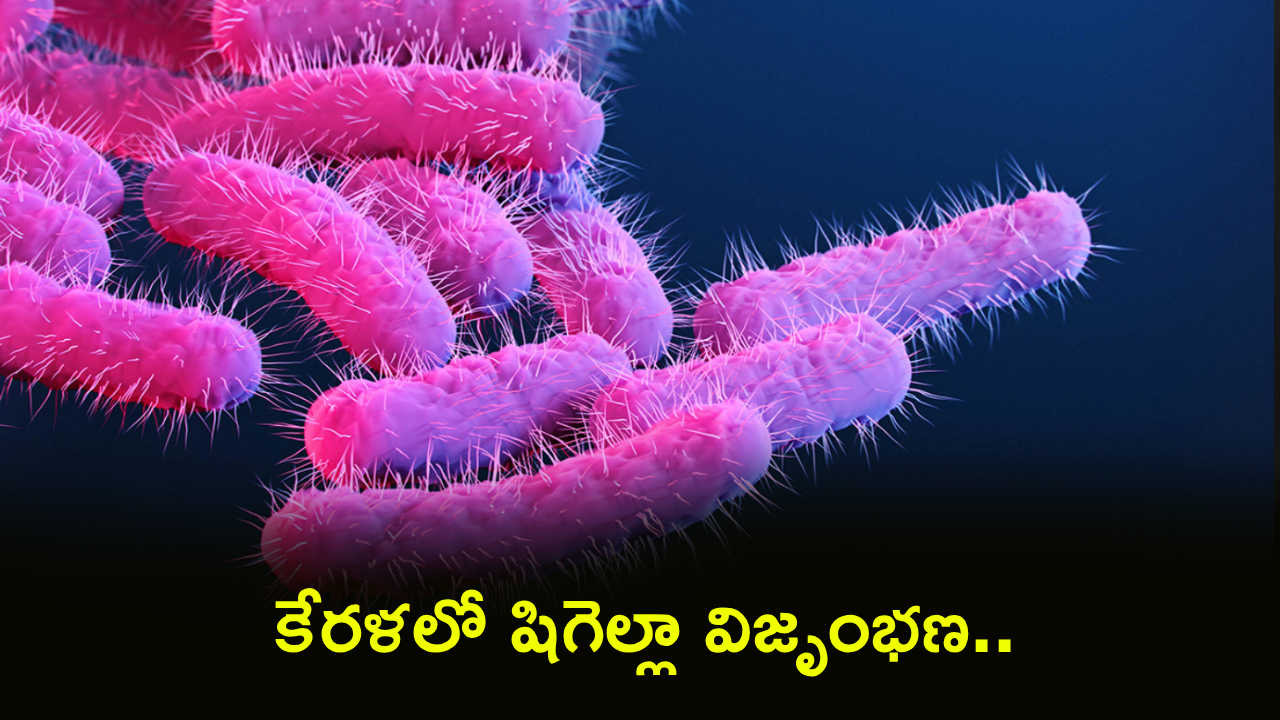 Shigella Outbreak : కేరళలో షిగెల్లా విజృంభణ.. 226 కేసులు, 6 మరణాలు!.. ఈ లక్షణాలుంటే జాగ్రత్త..!