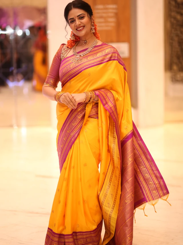 Sreemukhi Traditional Looks from Maa Inti Bangaram Pre Release Event