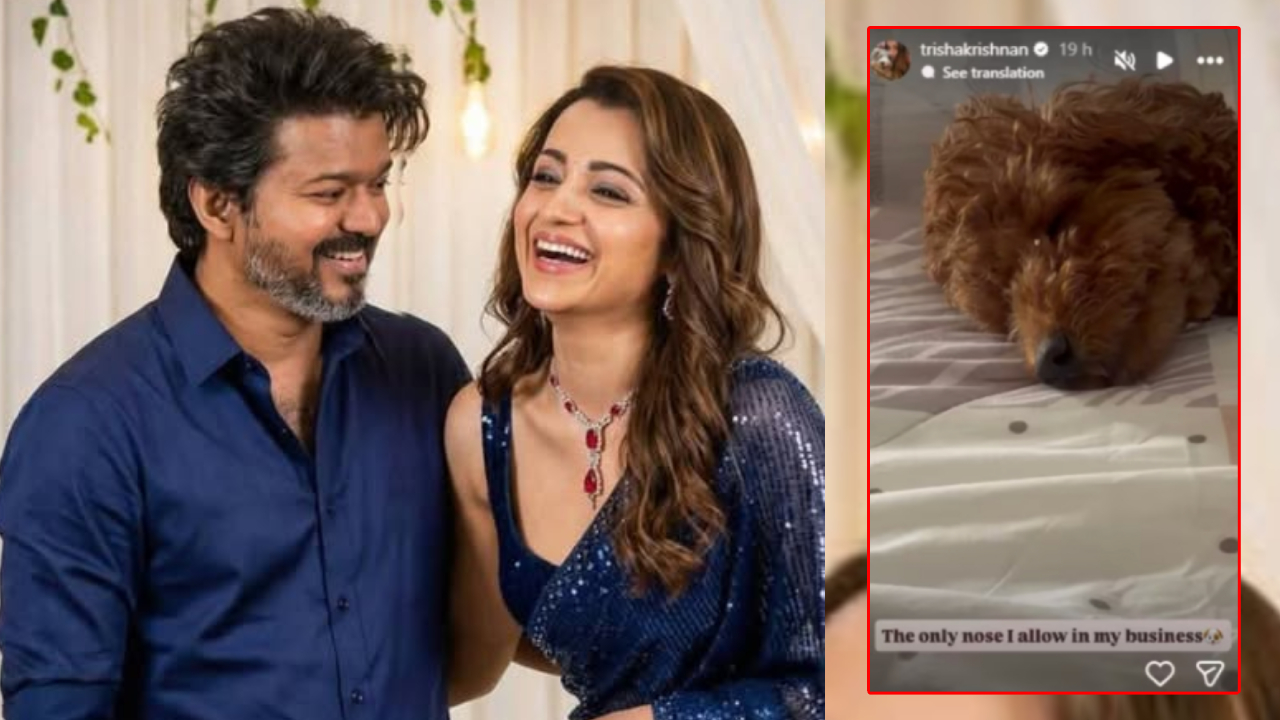 Trisha Krishnan: కుక్క ఫోటోతో కౌంటర్.. ట్రోలింగ్స్ కి గట్టి సమాధానం ఇచ్చిన త్రిష