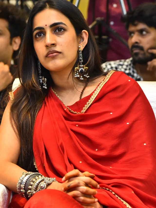Vanda Devullu Pre Release Event