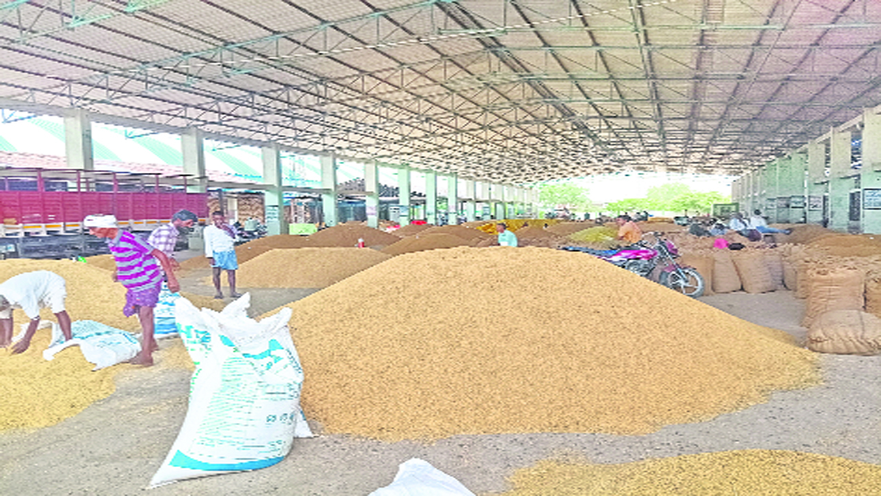 RNR Paddy Price: రైతన్నకు కాసుల పంట.. మళ్ళీ పెరిగిన ‘ఆర్‌ఎన్‌ఆర్‌ ధాన్యం’ ధర.. ఈ సీజన్‌లో ఇది ఆల్‌టైం రికార్డ్