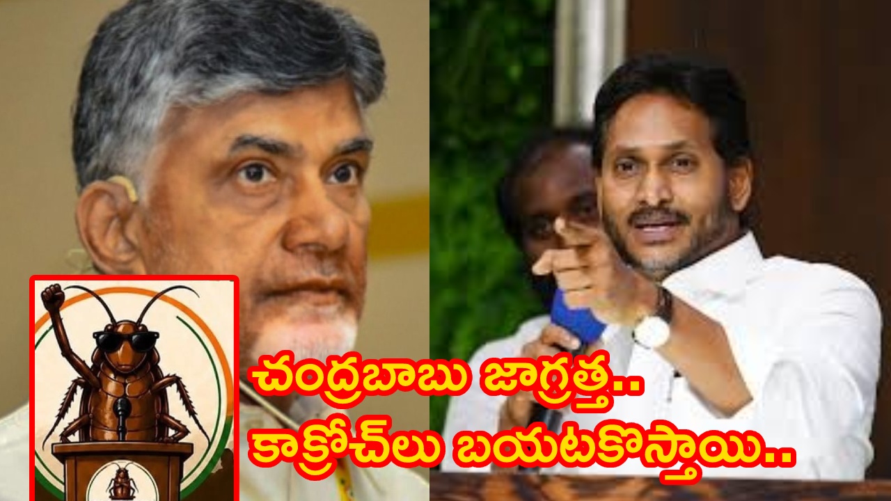 YS Jagan : జాగ్రత్త చంద్రబాబు.. ఏపీలో కూడా కాక్రోచ్‌లు బయటకు వస్తాయి.. జగన్ సంచలన కామెంట్స్..
