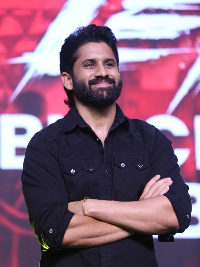 Akkineni Hero's Nagarjuna Naga Chaitanya Akhil in Lenin Blockbuster Vaibhavam Event