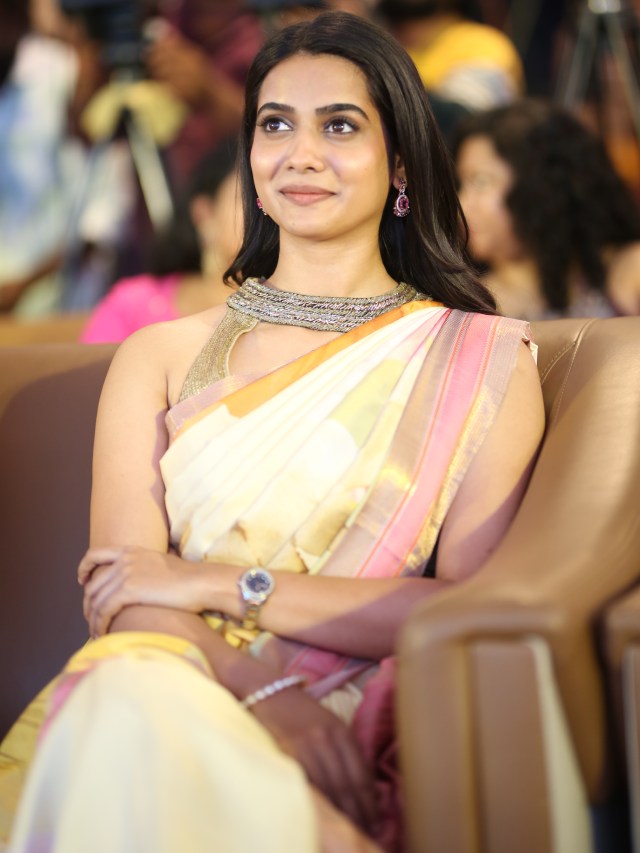 Chennai Love Story Success Event