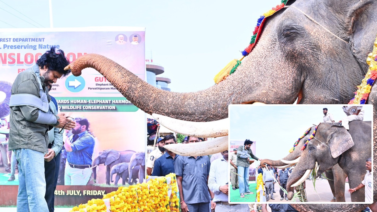 Deputy CM Pawan Kalyan : అడవి ఏనుగులకు చెక్.. కుంకీ ఏనుగులకు స్వాగతం పలికిన డిప్యూటీ సీఎం పవన్‌ కల్యాణ్