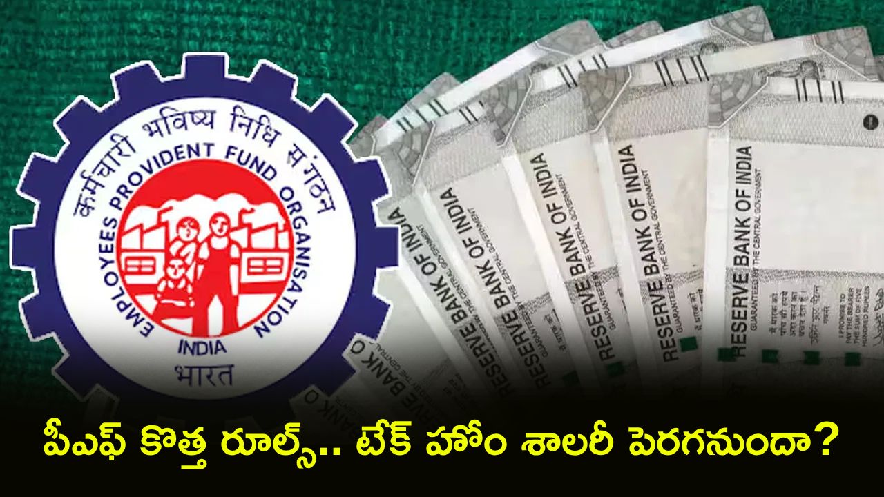 EPF Scheme 2026 : EPFO కొత్త రూల్.. మీ శాలరీ ఎంతైనా రూ.1800 పీఎఫ్ కటింగ్.. చేతికి అందే జీతం పెరగనుందా? ఉద్యోగికి లాభమా నష్టమా?