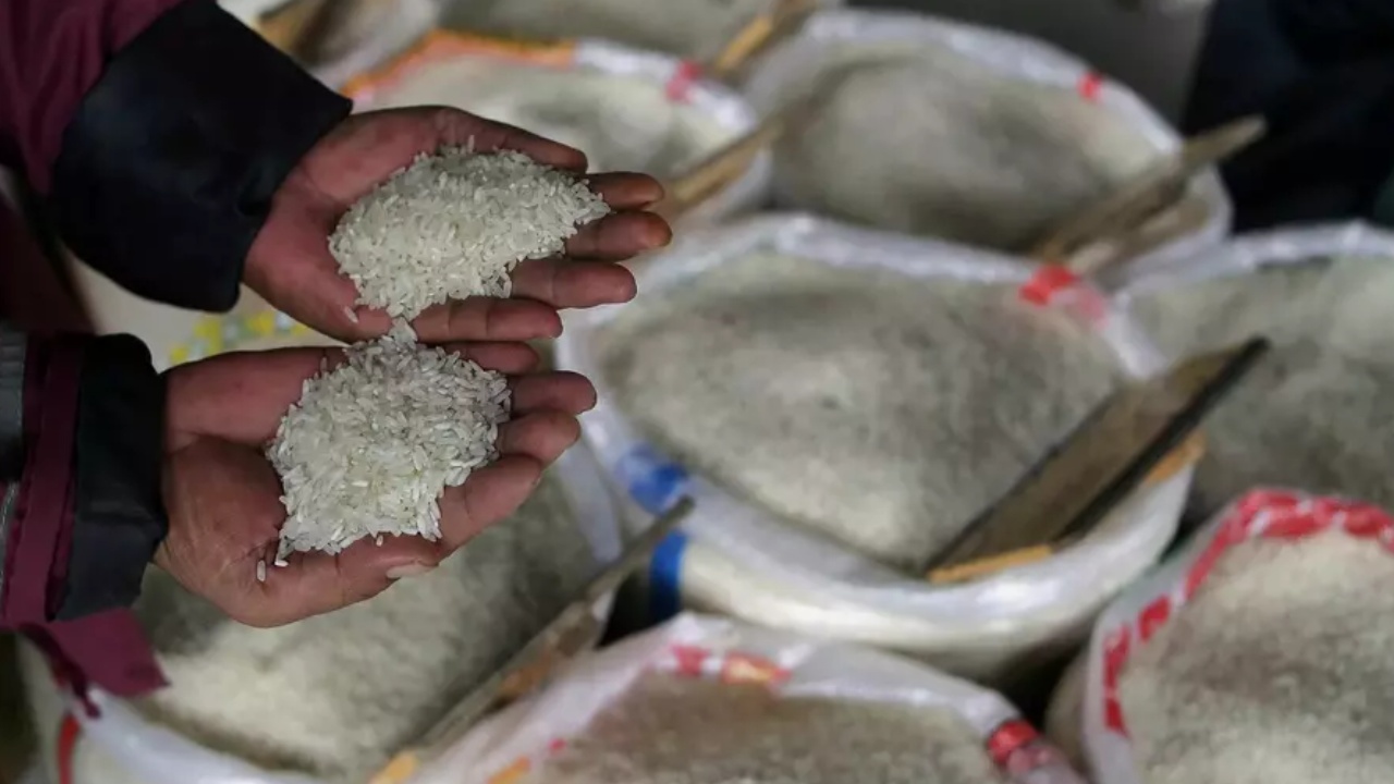 Rice Prices : ఎల్‌నినో ఎఫెక్ట్.. భారీగా పెరగనున్న బియ్యం ధరలు.. పీజేటీఏయూ సంచలన నివేదిక ..