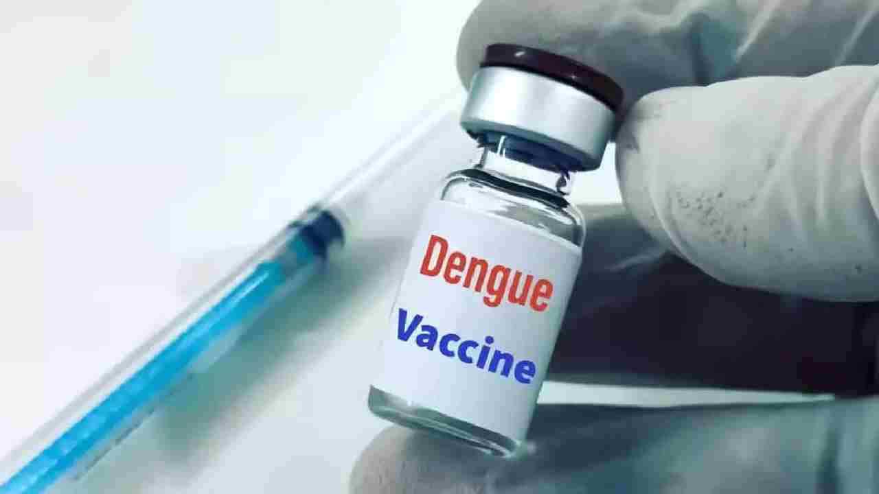 Dengue Vaccine: ‘డెంగీ’కి వ్యాక్సిన్ వచ్చేసింది.. రెండు డోసులతో పూర్తి రక్షణ.. భారత ప్రభుత్వం ఆమోదం