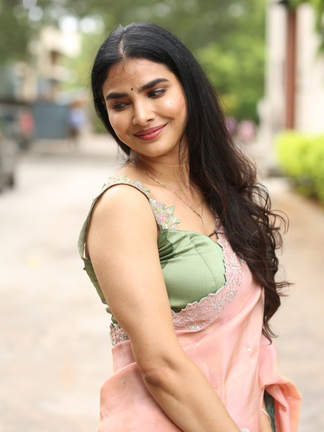 Meenakshi Goswami Mesmerizing Looks in Saree
