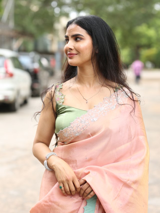Meenakshi Goswami Mesmerizing Looks in Saree