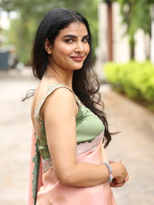 Meenakshi Goswami Mesmerizing Looks in Saree