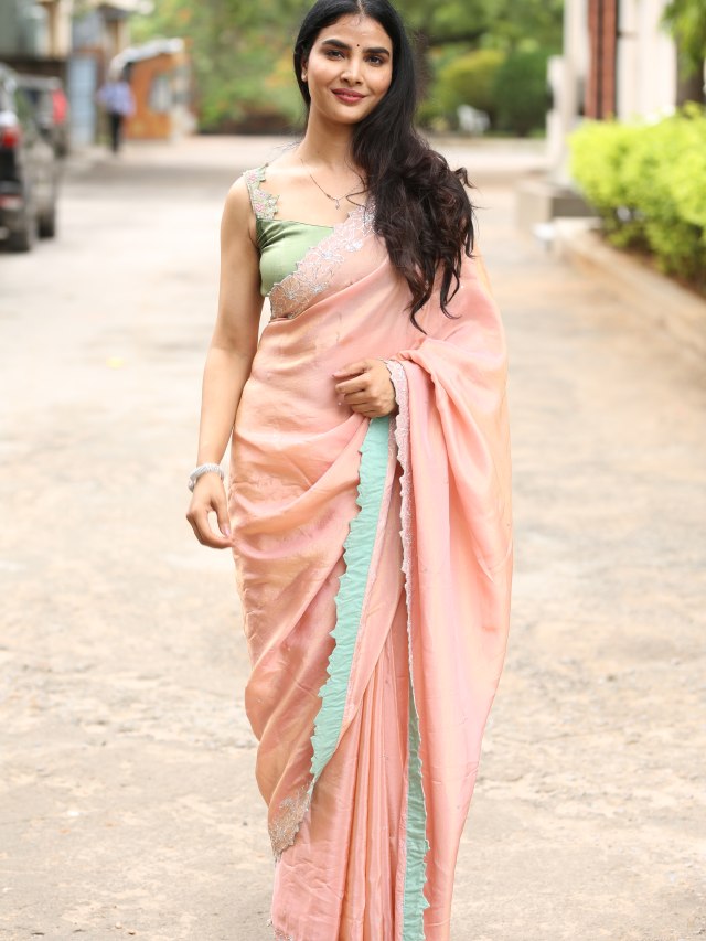 Meenakshi Goswami Mesmerizing Looks in Saree