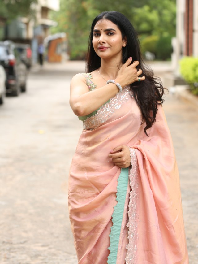 Meenakshi Goswami Mesmerizing Looks in Saree