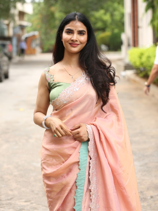 Meenakshi Goswami Mesmerizing Looks in Saree