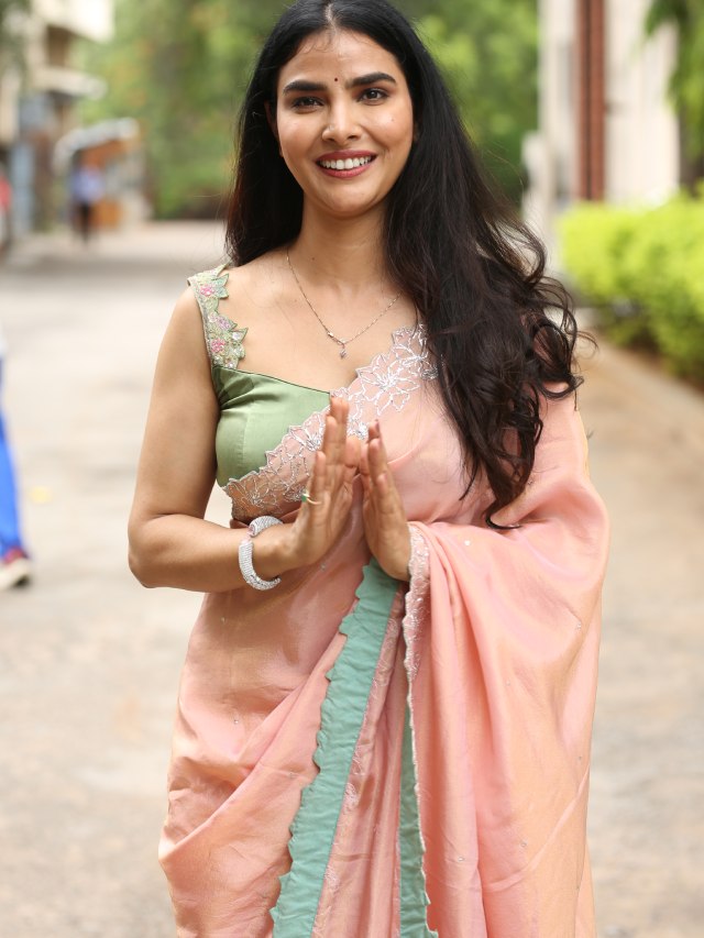 Meenakshi Goswami Mesmerizing Looks in Saree