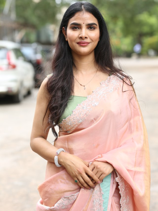 Meenakshi Goswami Mesmerizing Looks in Saree