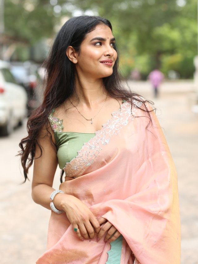 Meenakshi Goswami Mesmerizing Looks in Saree