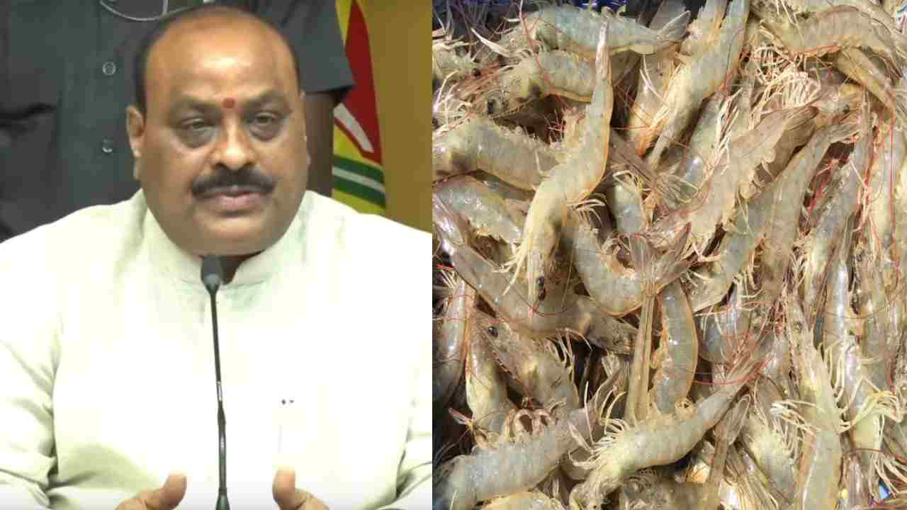 Minister Atchannaidu: రొయ్యలకు రోగం… తినేవాళ్లు, రైతులు బీ కేర్ ఫుల్.. రంగంలోకి ఏపీ ప్రభుత్వం
