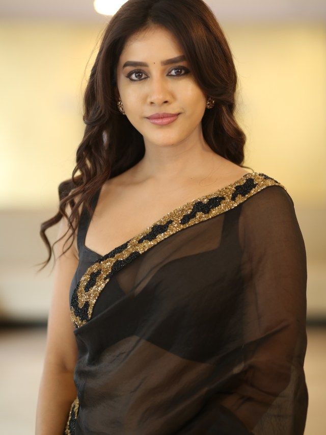 Nabha Natesh Stunning Looks in Black Saree