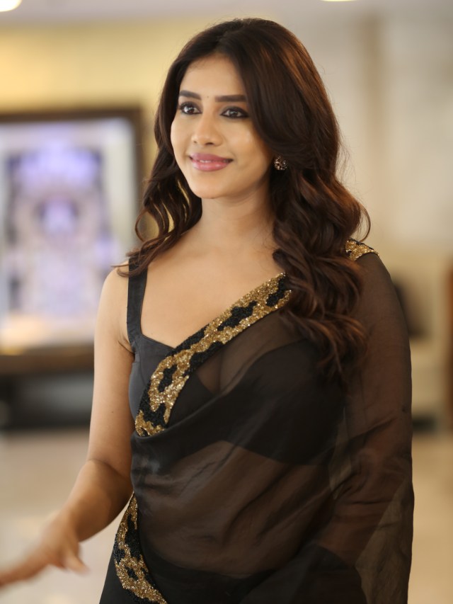 Nabha Natesh Stunning Looks in Black Saree