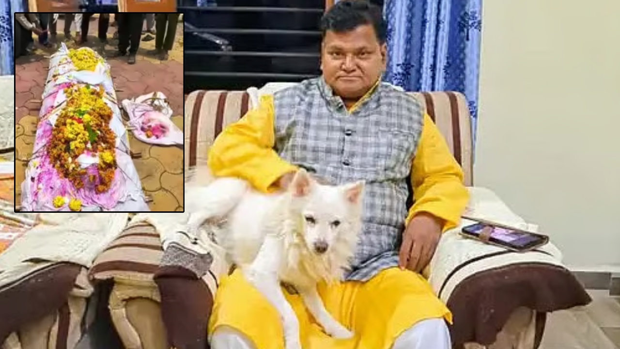 Pet Dog Dies During Owner Funeral : యజమాని అంతిమయాత్రలోనే ప్రాణాలు విడిచిన పెంపుడు కుక్క.. హృదయాలను కదిలిస్తున్న ఘటన