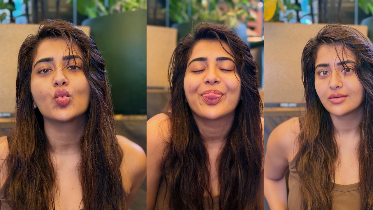 Rashi Singh : రాశిసింగ్ చిలిపి ఫోటోలు..
