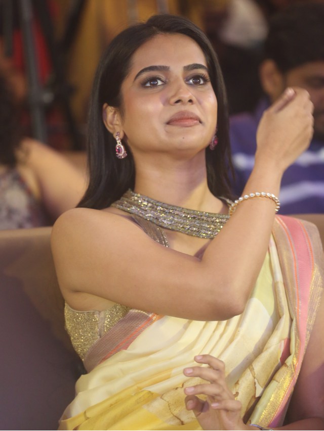 Sri Gouri Priya Stunning Looks in Saree at Chennai Love Story Success Event