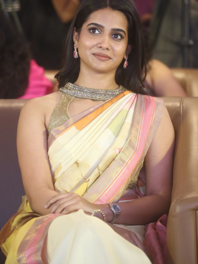 Sri Gouri Priya Stunning Looks in Saree at Chennai Love Story Success Event
