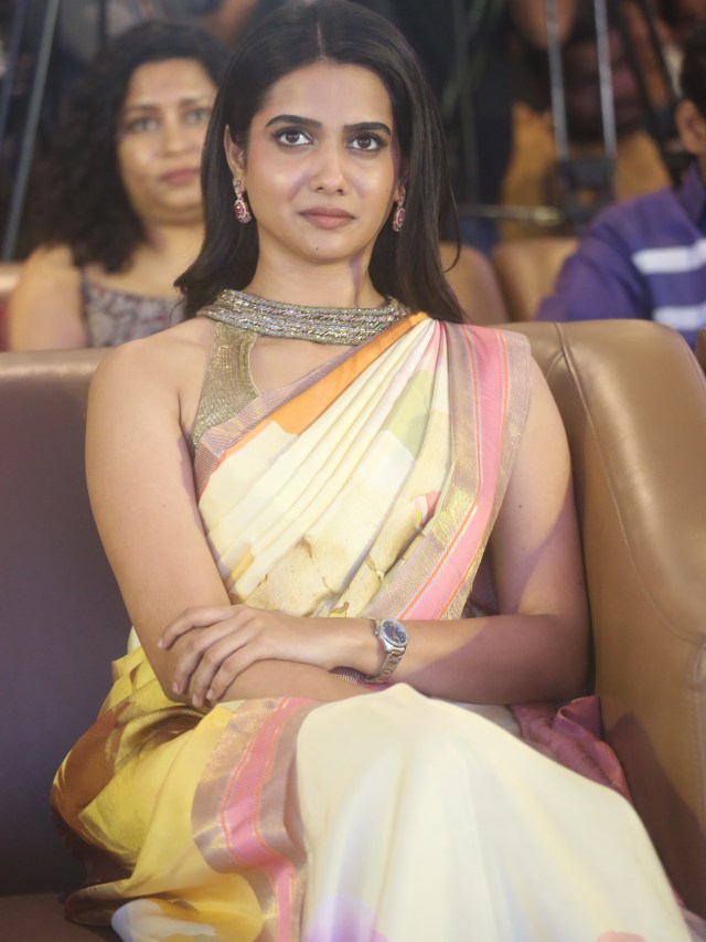 Sri Gouri Priya Stunning Looks in Saree at Chennai Love Story Success Event