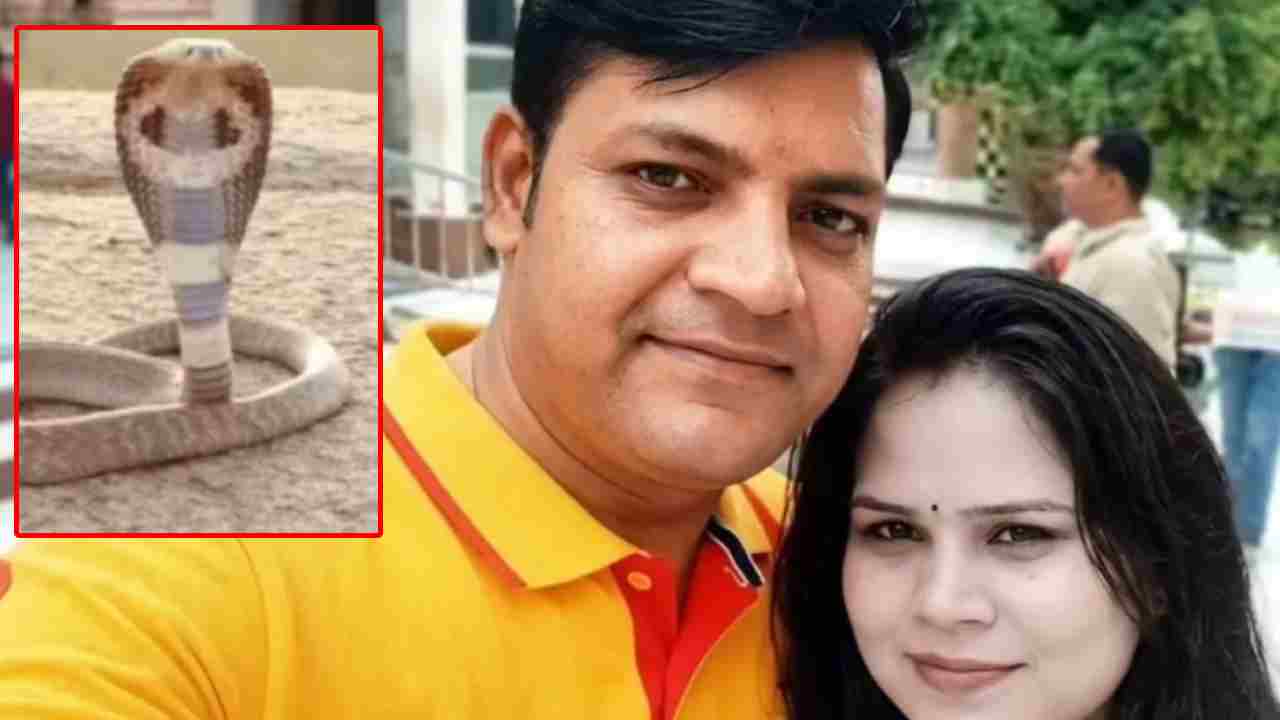 Indore Snake Bite Murder Case: పాముకాటు కాదు.. పక్కా ప్లాన్.. భార్యను చంపేసి పాముతో డ్రామాలు.. ఫోరెన్సిక్ రిపోర్ట్‌లో సంచలన విషయాలు