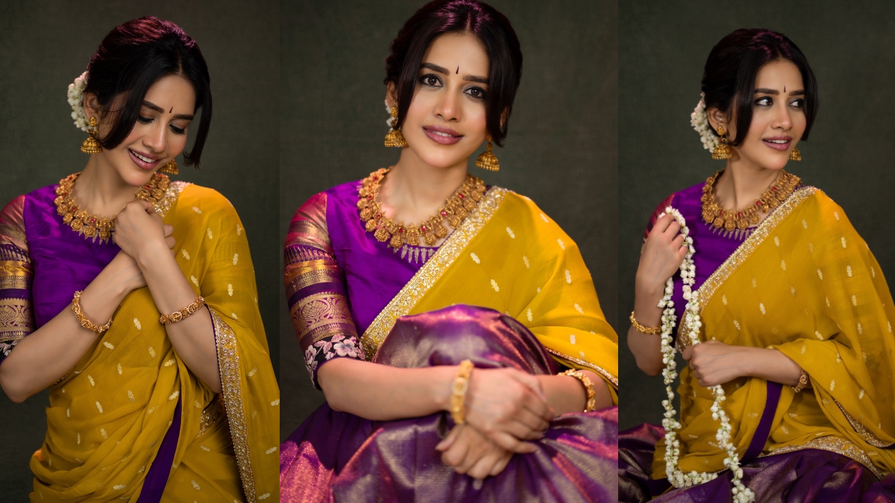 Nabha Natesh : చీర‌లో కుంద‌న‌పు బొమ్మ‌లా న‌భా న‌టేష్.. ఫోటోలు వైర‌ల్