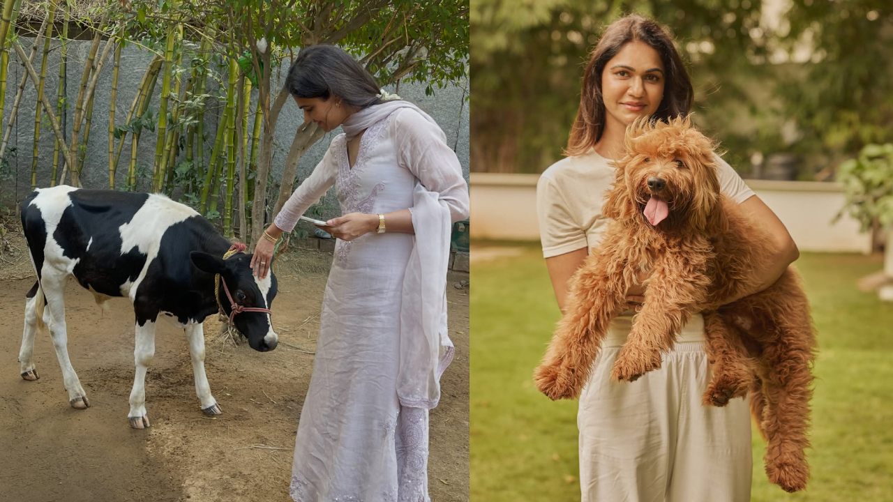 Allu Sneha Reddy : ఆగస్టు నెల జ్ఞాపకాలు.. స్పెషల్ ఫొటోలు షేర్ చేసిన అల్లు అర్జున్ భార్య..