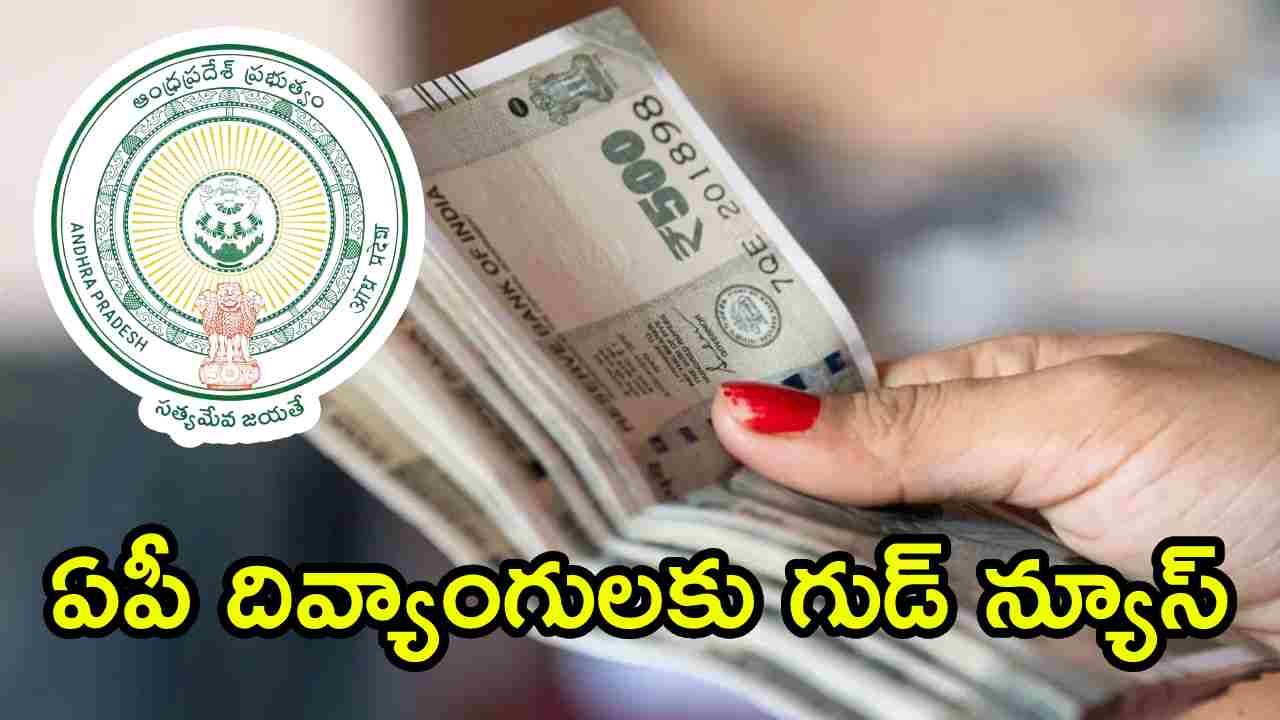 Sadarem Pension: ఏపీ దివ్యాంగులకు గుడ్ న్యూస్.. కూటమి ప్రభుత్వం కీలక నిర్ణయం