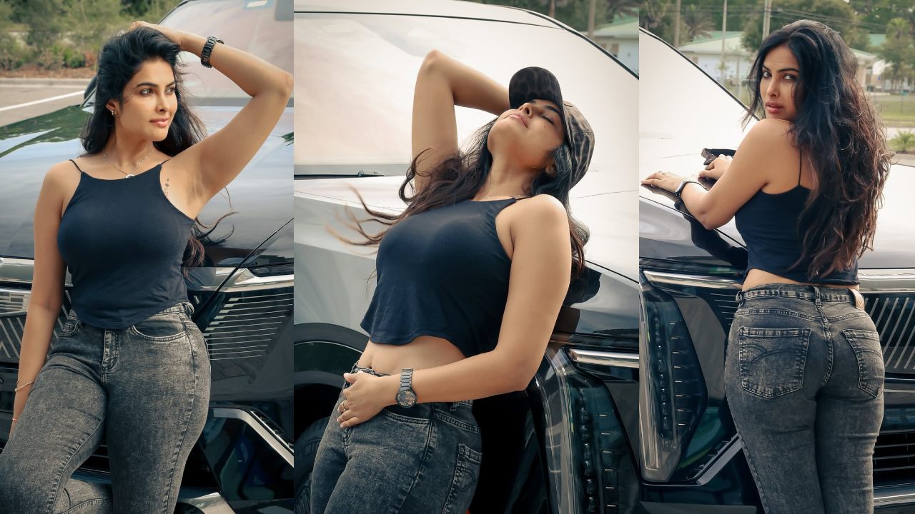 Divi Stylish Looks