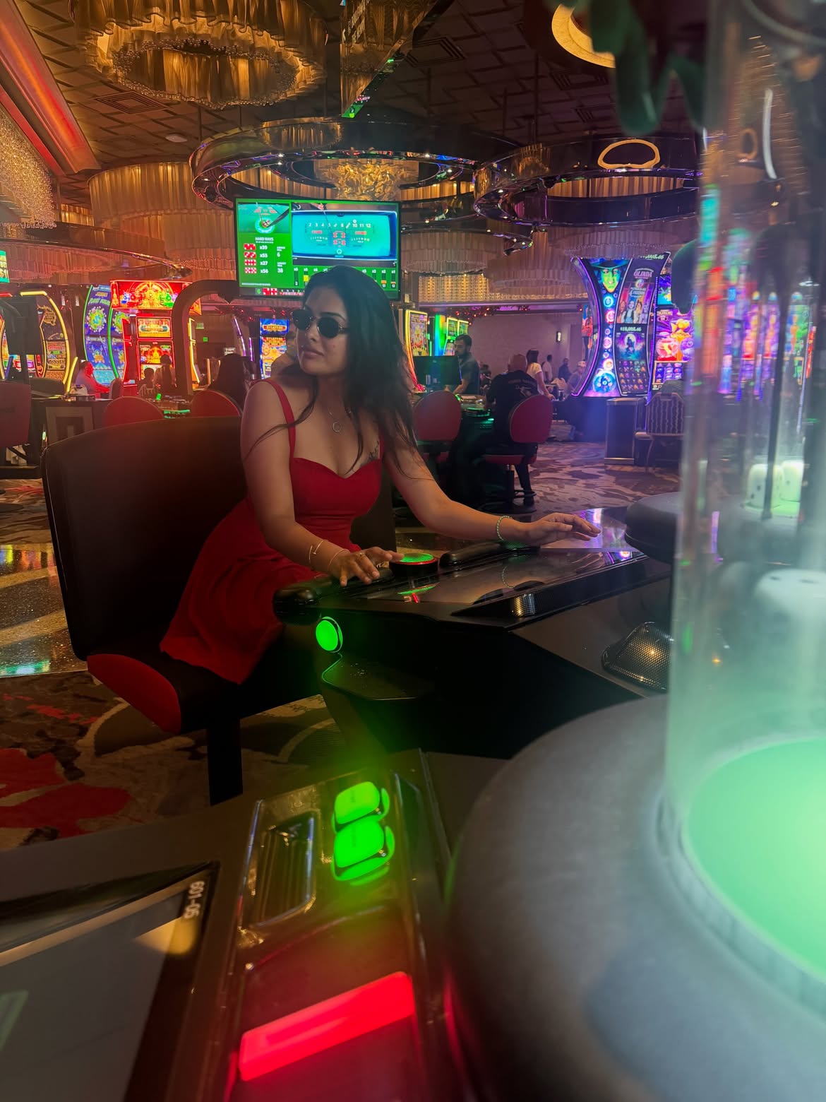 Divi Enjoying Vacation in Las Vegas