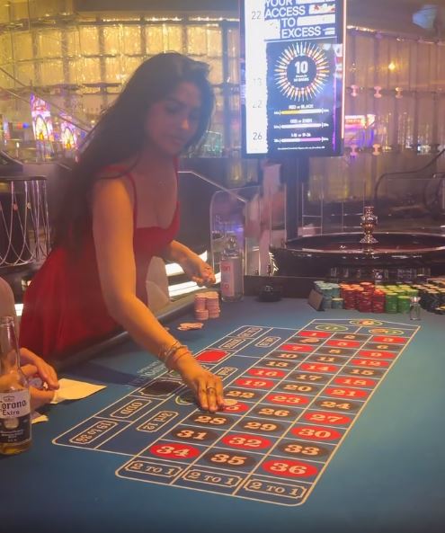 Divi Enjoying Vacation in Las Vegas