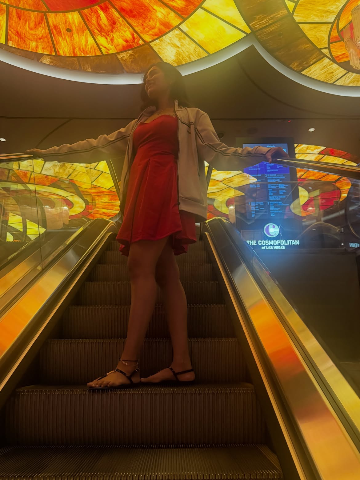 Divi Enjoying Vacation in Las Vegas