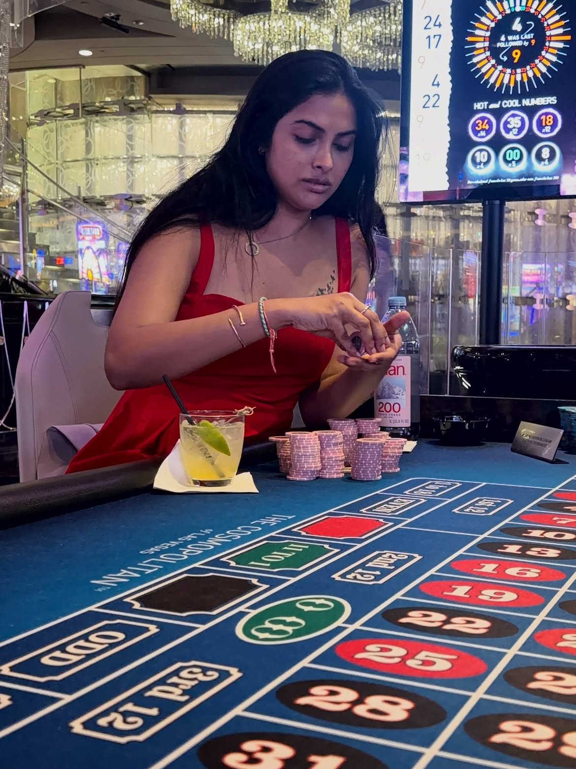 Divi Enjoying Vacation in Las Vegas
