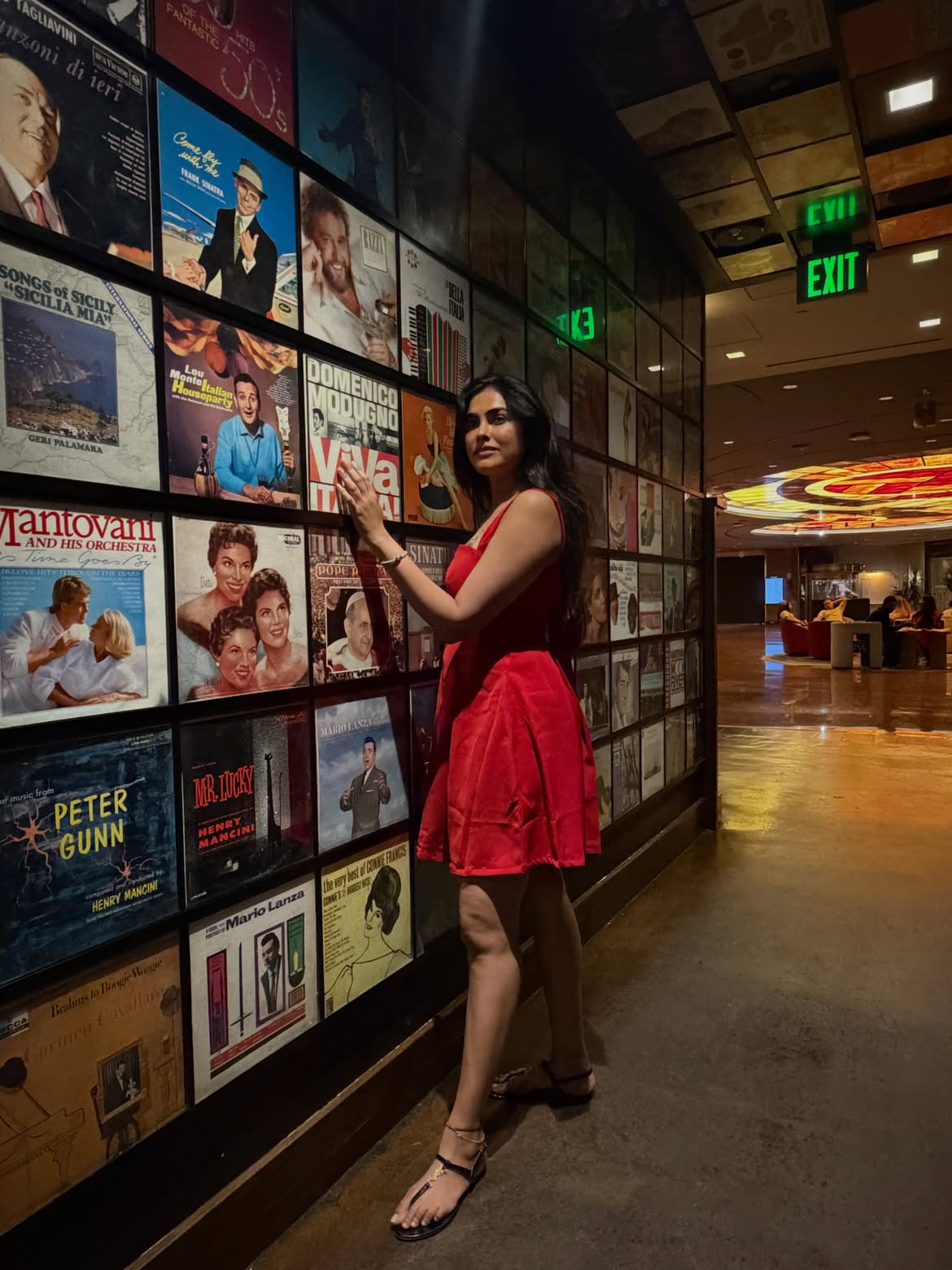 Divi Enjoying Vacation in Las Vegas