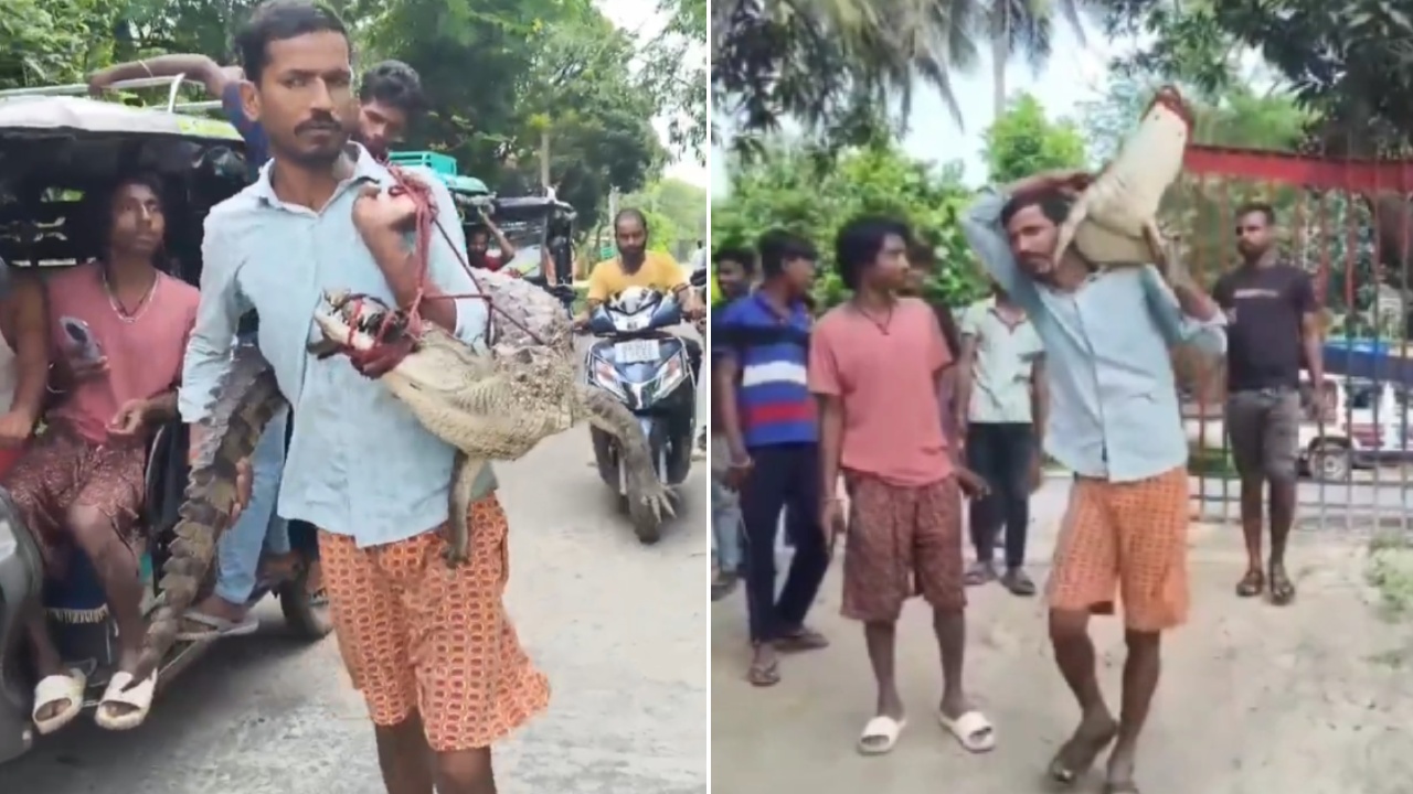 Farmer Crocodile : ఇంత ధైర్యమా..! పొలంలో మొసలి.. భుజాన వేసుకొని పోలీస్ స్టేషన్‌కు వెళ్లిన రైతు.. వీడియో వైరల్..