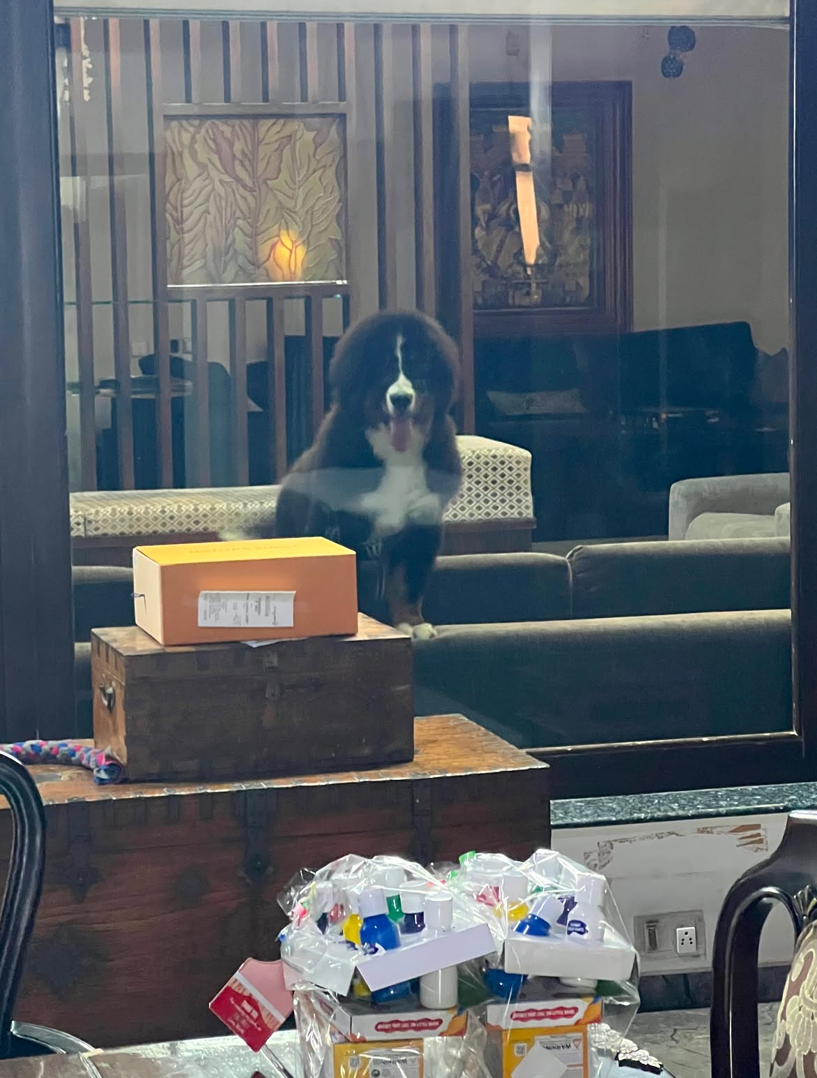 Jr NTR Shares Emotional Post on his Dog Passed Away
