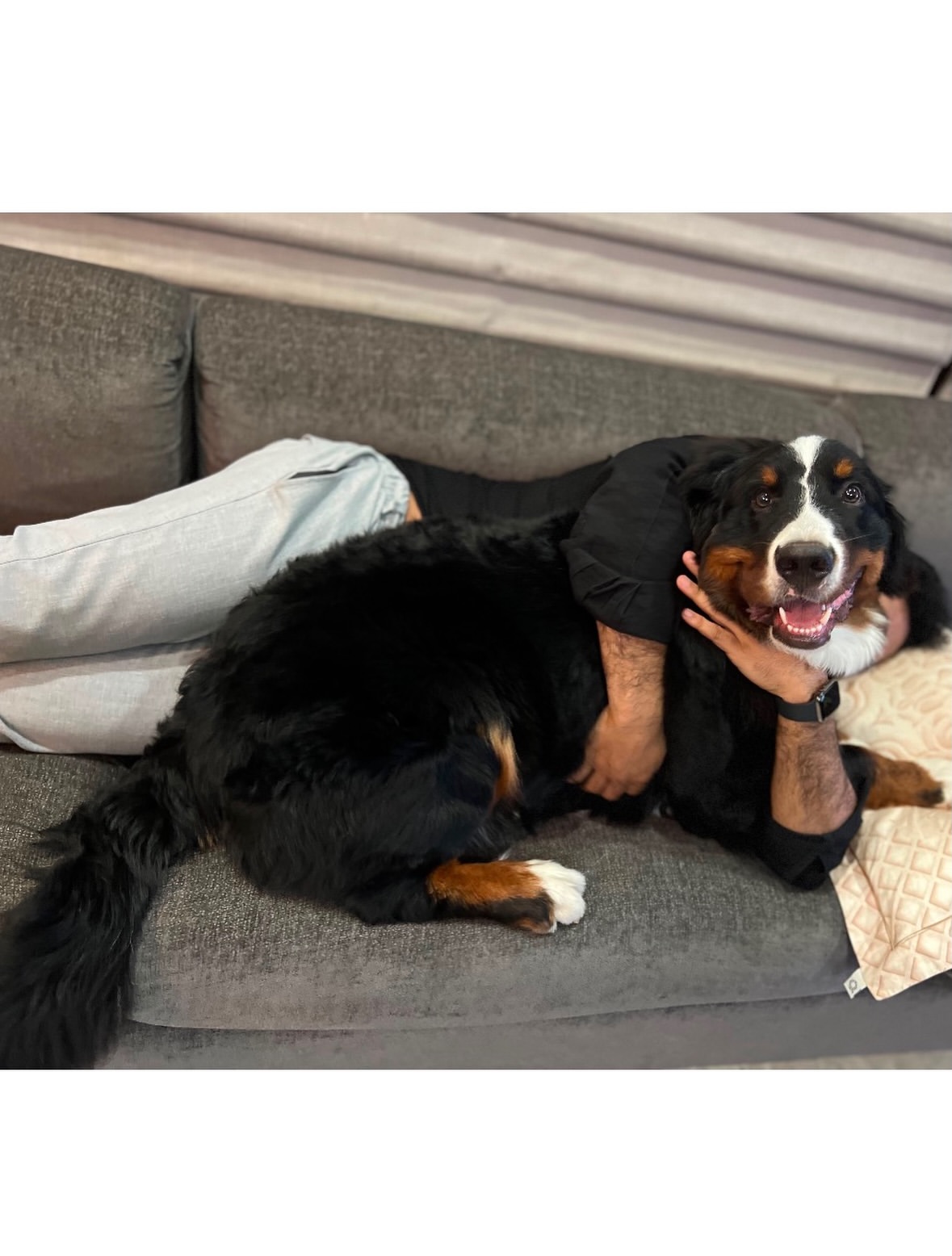 Jr NTR Shares Emotional Post on his Dog Passed Away