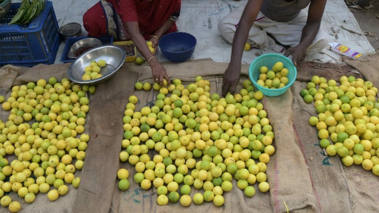 Lemon Price Hike : నిన్న చెక్కర, ఉల్లి.. నేడు నిమ్మ.. ధరలకు రెక్కలొస్తున్నాయ్.. ఇక సామాన్యులకు చుక్కలే!