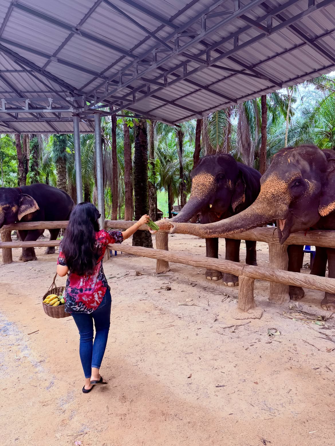 Mirnalini Ravi Playing with Elephants in Thailand