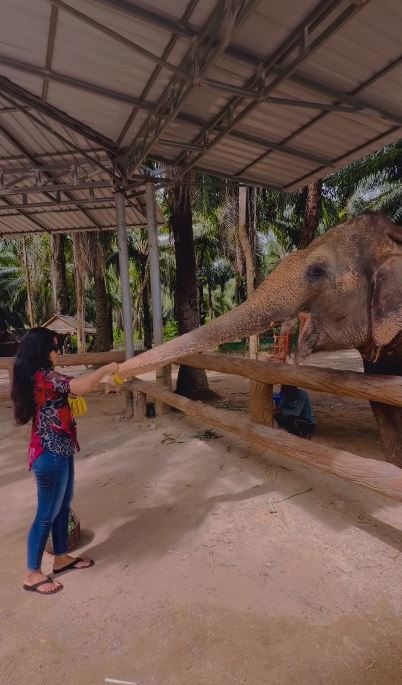 Mirnalini Ravi Playing with Elephants in Thailand