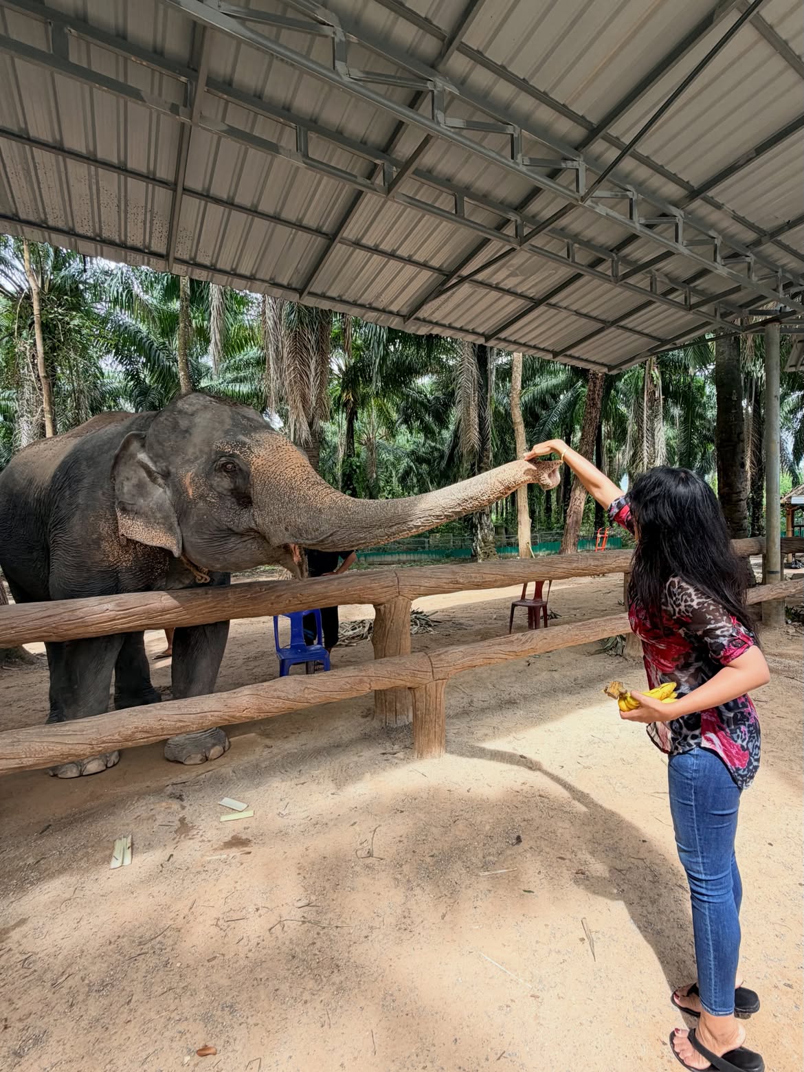 Mirnalini Ravi Playing with Elephants in Thailand