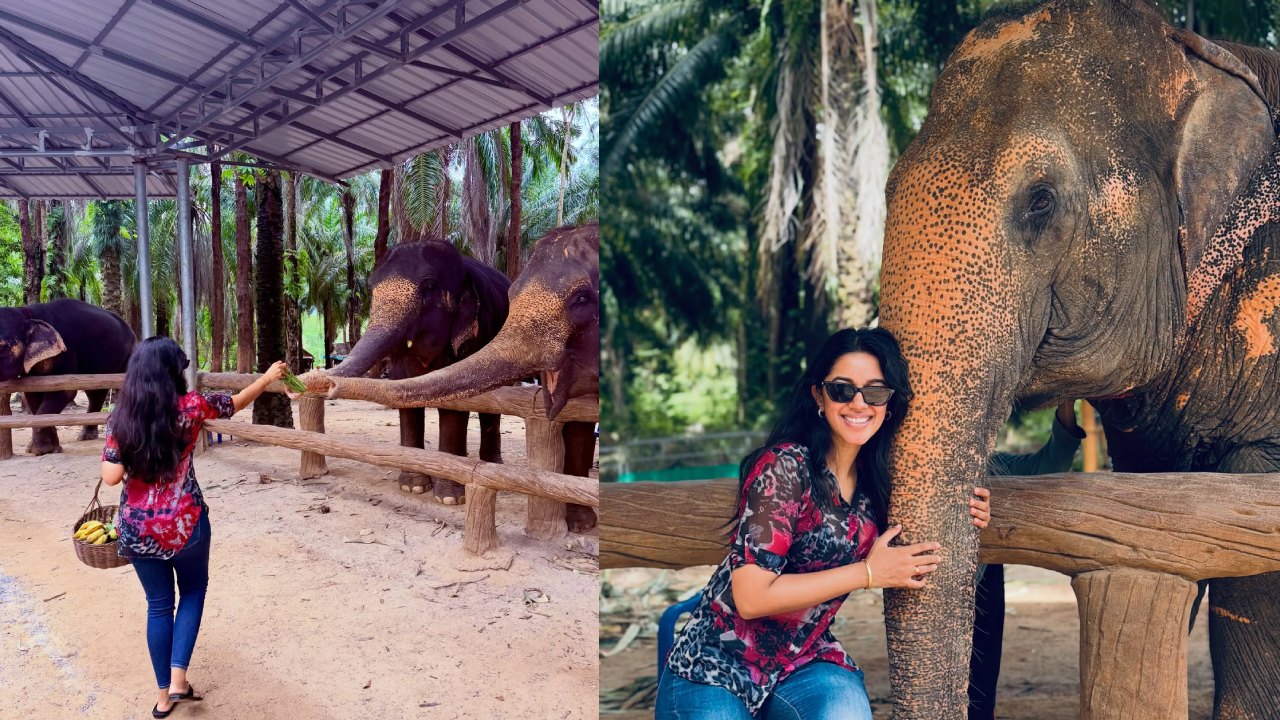 Mirnalini Ravi : థాయిలాండ్ లో ఏనుగులతో.. హీరోయిన్ మృణాళిని రవి ఫొటోలు..