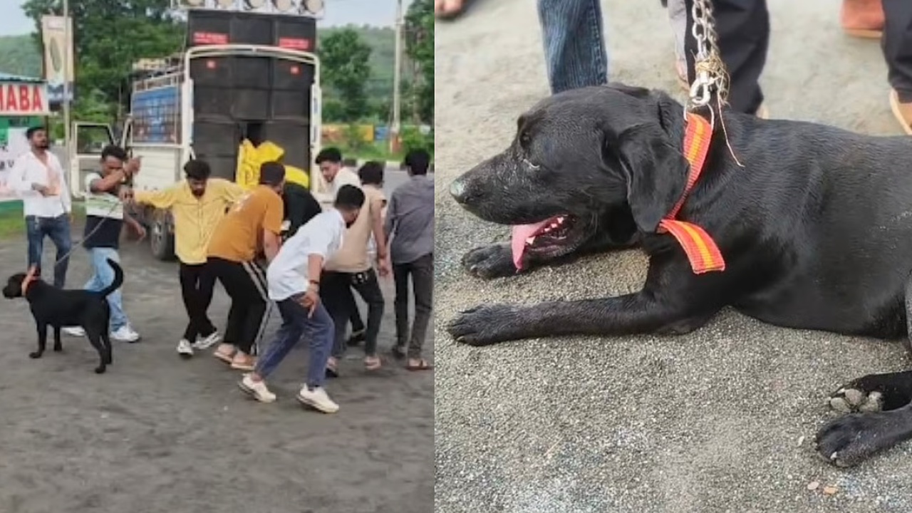 Missing Dog Returns Home : మూన్నెళ్ల తర్వాత ఇంటికొచ్చిన పెంపుడు కుక్క.. యజమాని 60కి.మీ నడుచుకుంటూ వెళ్లి..