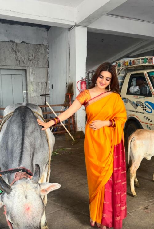 Nidhhi Agerwal fed the cows